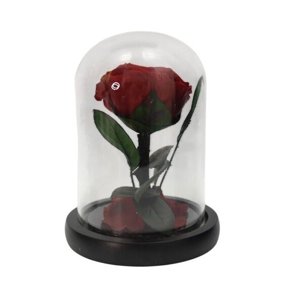 Preserved Red Rose In Glass Dome With Black Base and Gift Box - Picture 3 of 5